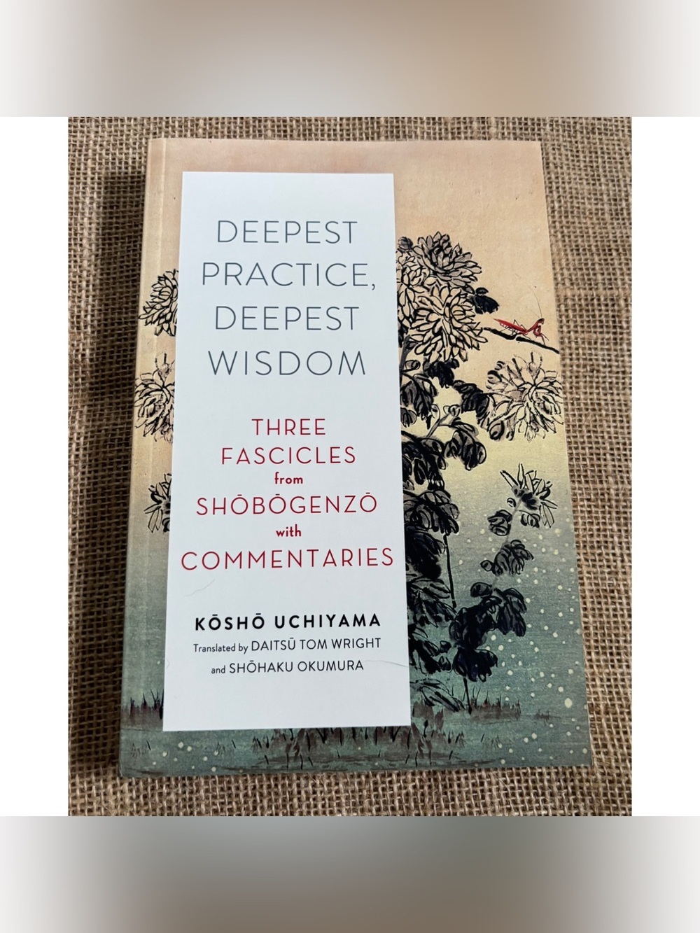 Deepest Practice Deepest Wisdom Three Fascicles From Shobogenzo w Commentaries